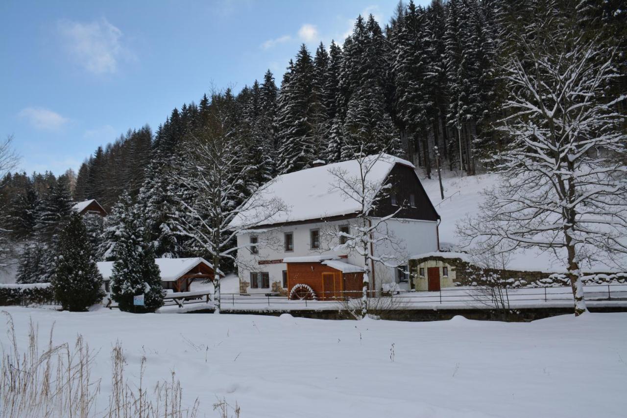 Teplice nad Metují Penzion Ctyrlistek מראה חיצוני תמונה