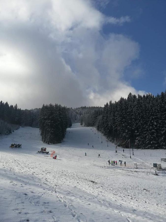 Teplice nad Metují Penzion Ctyrlistek מראה חיצוני תמונה